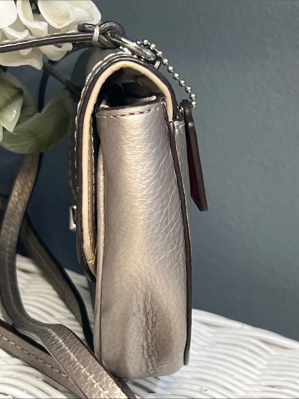 Coach Park Mini Leather Crossbody
